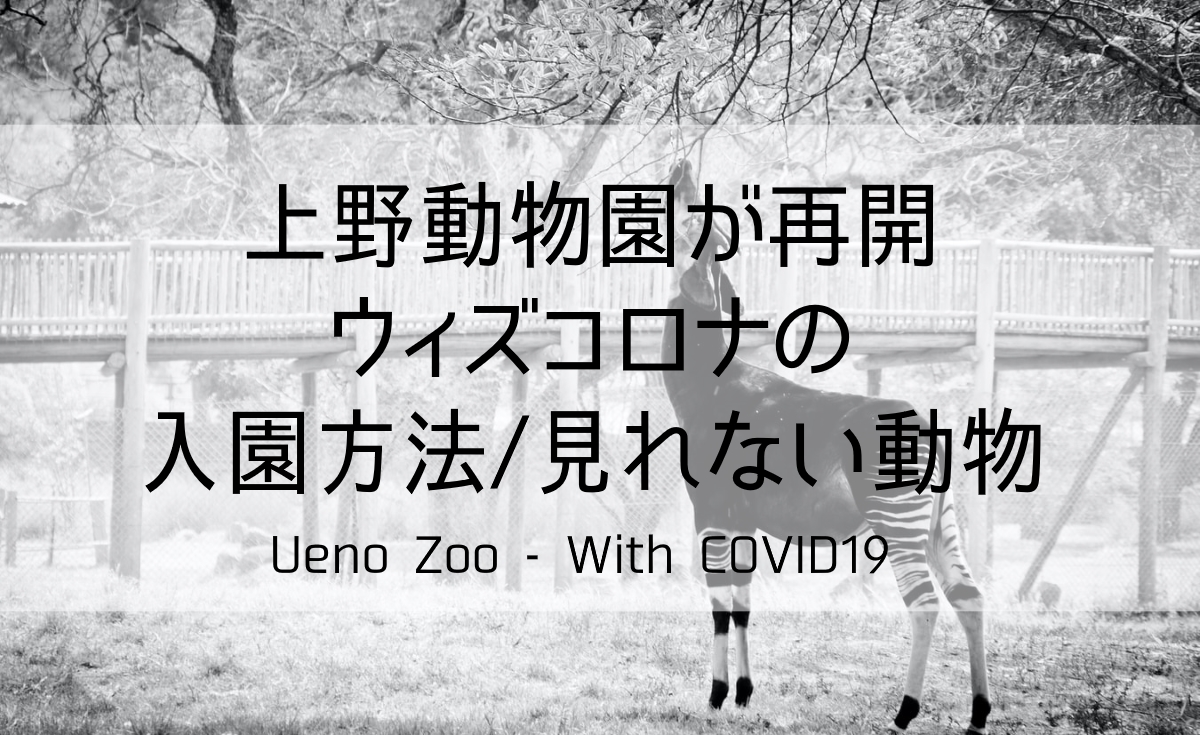上野動物園が再開 ウィズコロナの入園方法 見れない動物は 文京区の新米パパ航海日誌